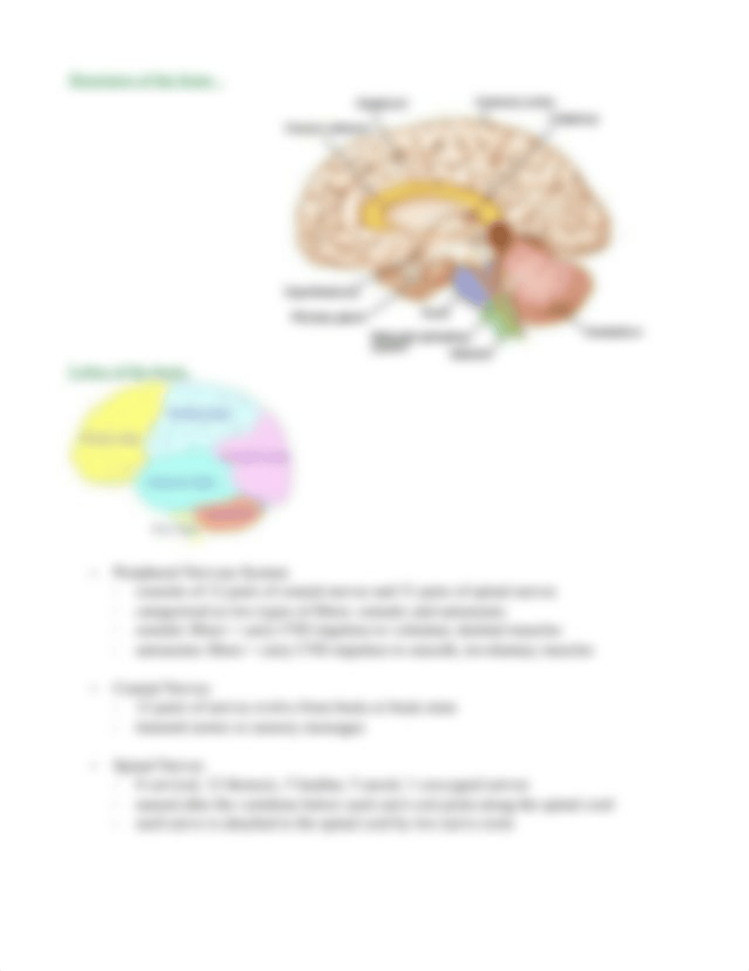 Copy of Neuro Assessment - Chapter 25.pdf_dc8lauzunhl_page2