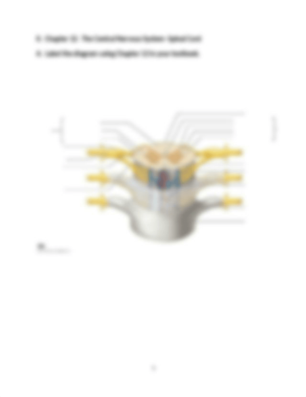 anatomy_dc8q40y0a7r_page5