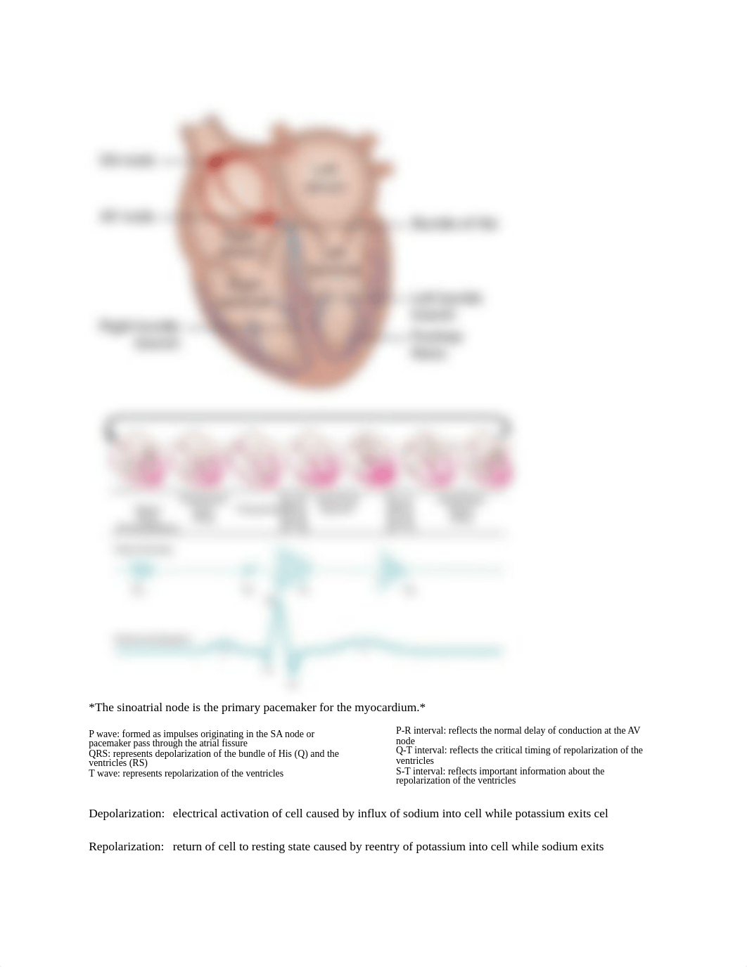 Med-SurgTest3_dc8zbl1aq3n_page2