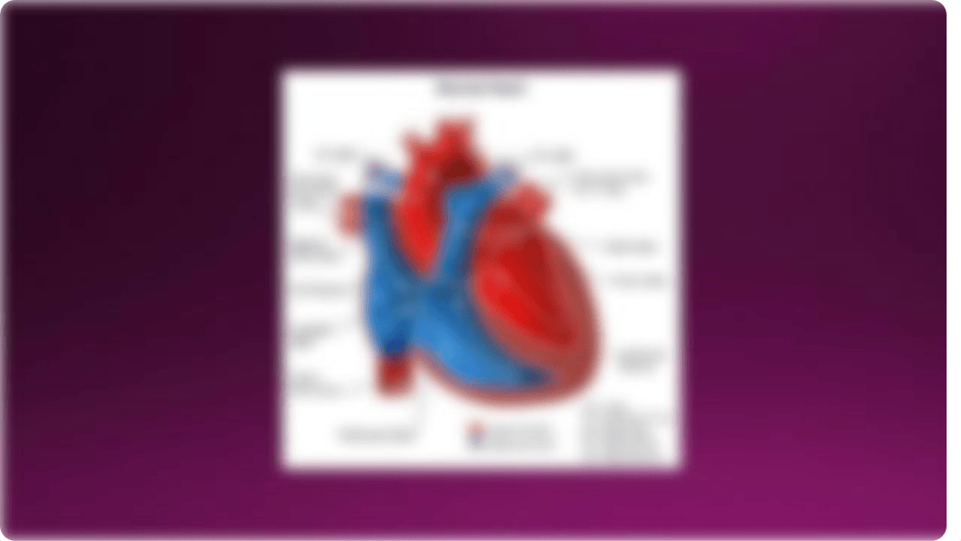 Concept of Perfusion.pptx_dc95xkhfwfh_page5