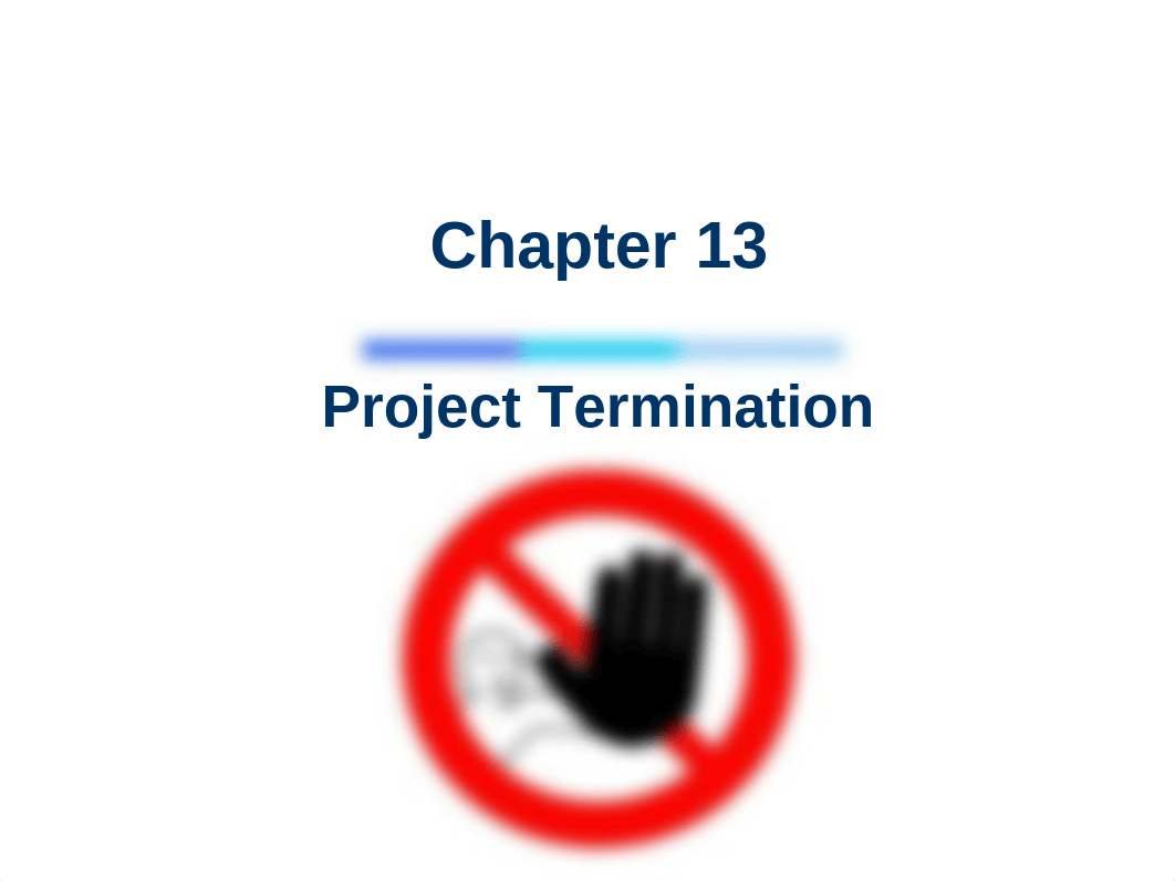 Ch13_Project Termination.pdf_dc9jvq2g215_page1