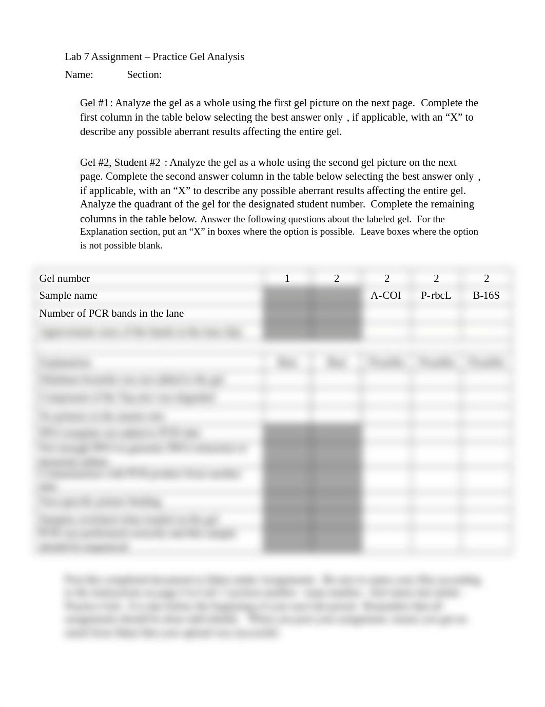 Lab 7 Practice Gel 1 _1_.docx_dc9k7jx0rg9_page1