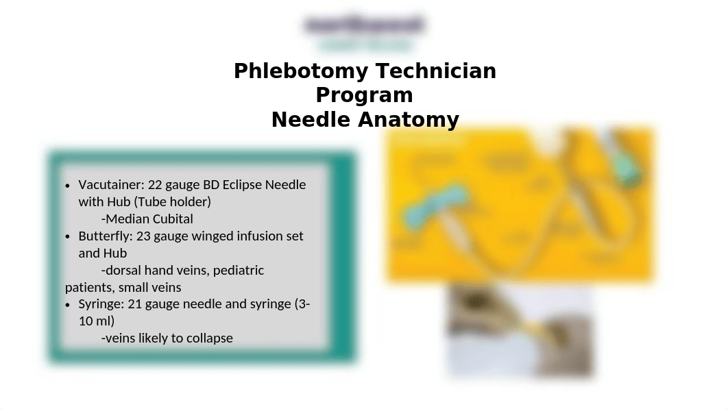 Phlebotomy Technician Presentation.pptx_dc9u9046den_page3