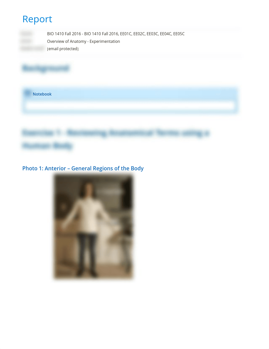 Overview of Anatomy - Experimentation report_dca11r54daw_page1