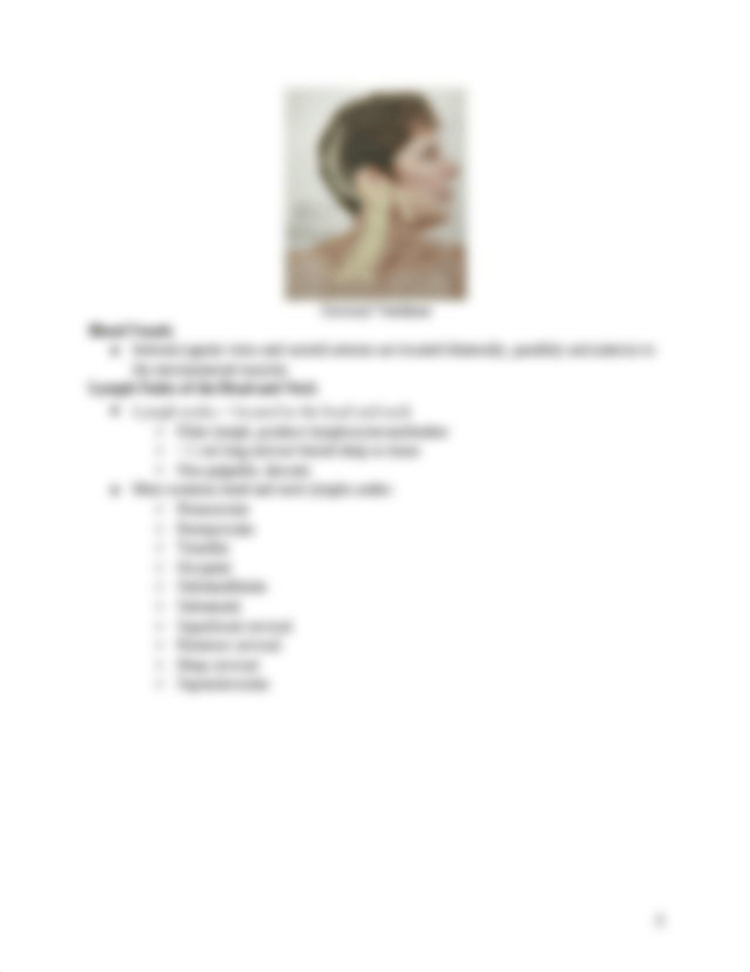 Ch 15 Assessing Head and Neck_dca8avkkxsl_page3