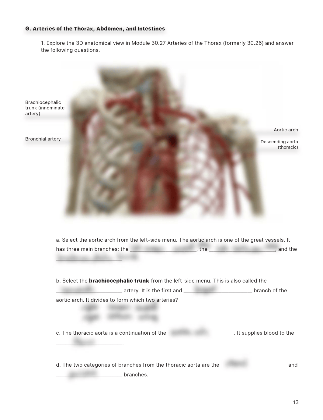 Lab_Activity_-_Blood_Vessels_II.pdf_dcaeidecwgz_page1