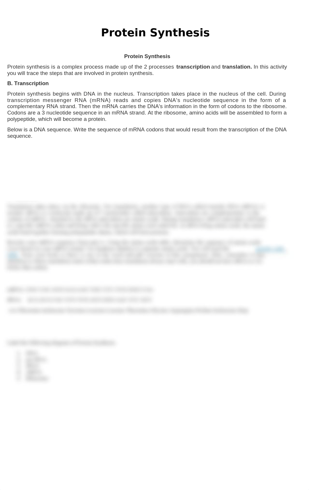 Week4 Protein Synthesis.docx_dcaf9gl2n2e_page1