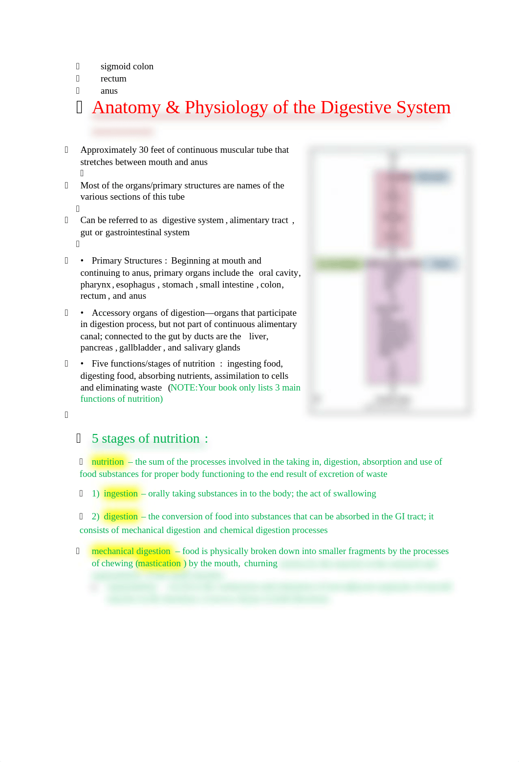 CH 8 - DIGESTIVE SYSTEM - HLTH 125 SP2018.docx_dcakf8nj0ik_page2