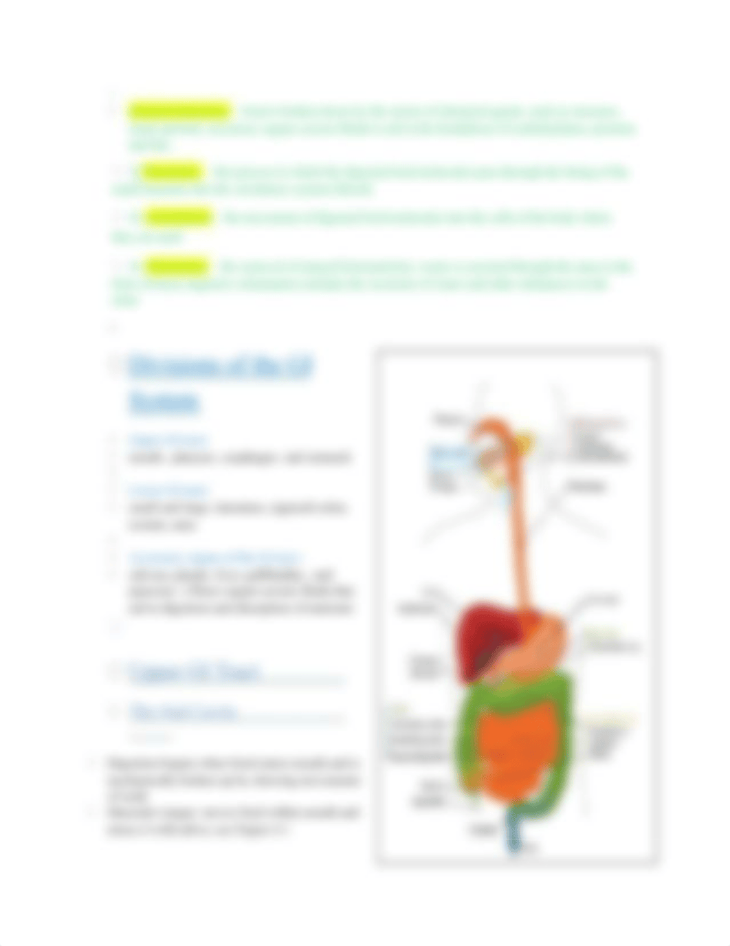 CH 8 - DIGESTIVE SYSTEM - HLTH 125 SP2018.docx_dcakf8nj0ik_page3