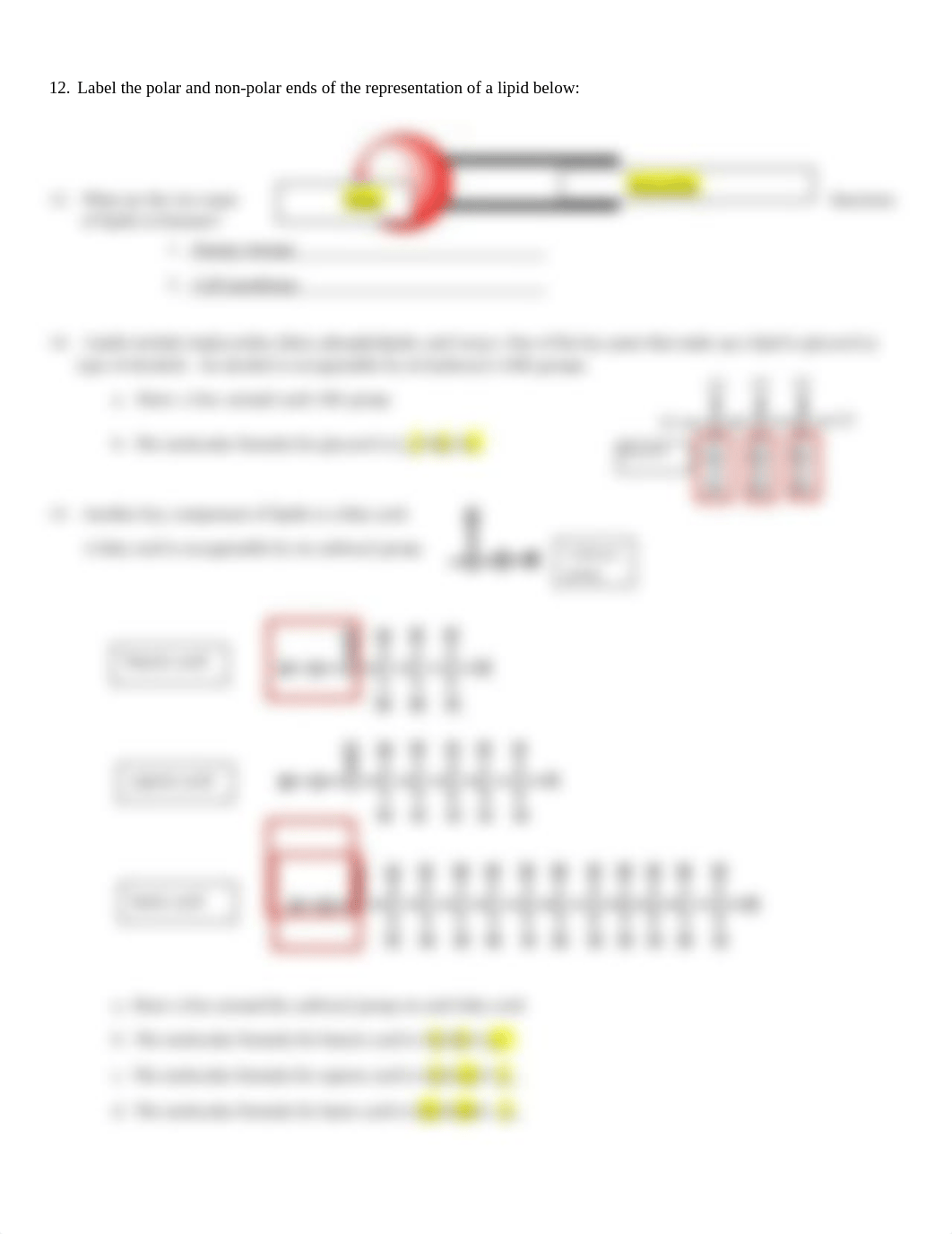 Lipids Worksheet-1.docx_dcaqdtspbbu_page2