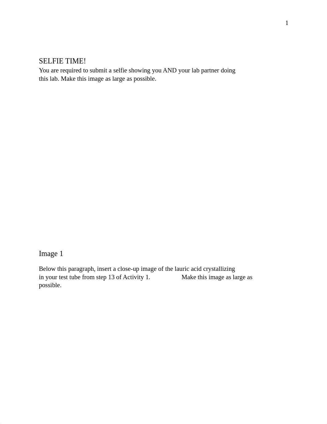 L7 Molar Mass by Freezing Point Depression Lab Report Template Subir.docx_dcatbmbk5vx_page2