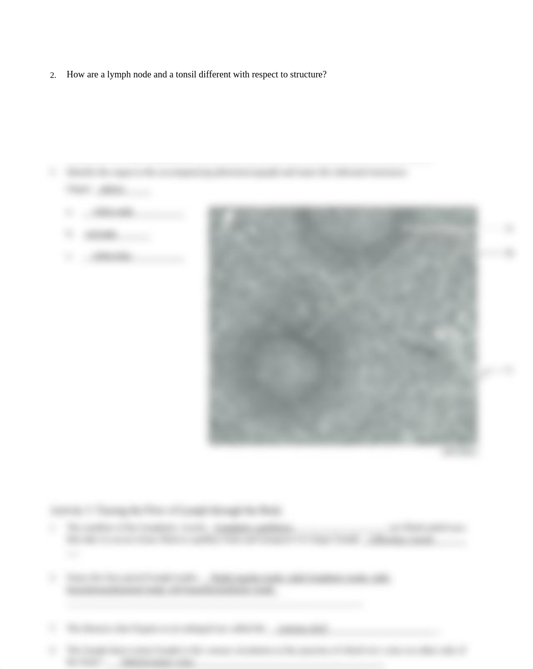 Unit 11 laboratory exercise 25_dcawa4bac41_page2