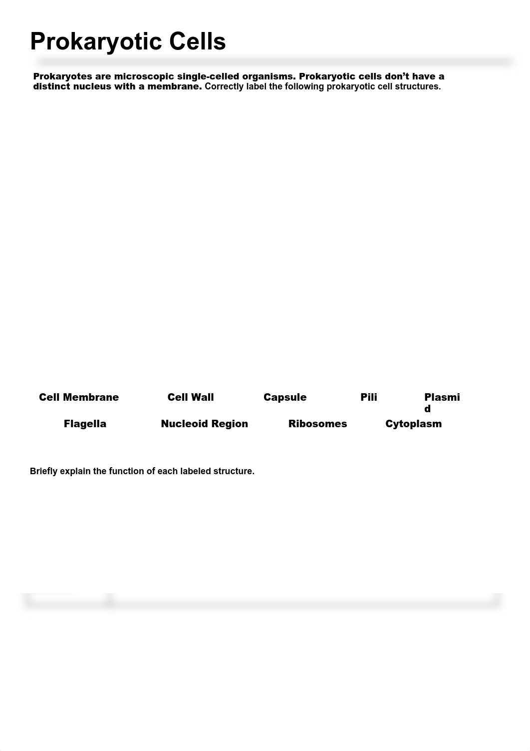 Amy Coste - Prokaryotic & Eukaryotic Cells.pdf_dcaxb0tytek_page1