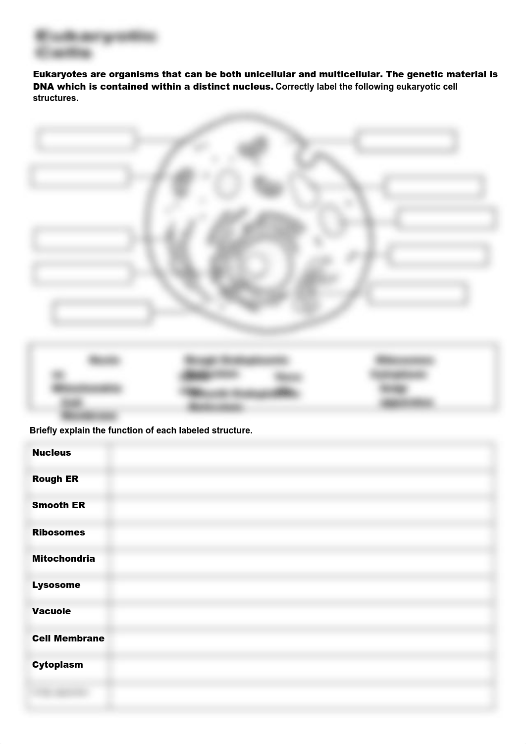 Amy Coste - Prokaryotic & Eukaryotic Cells.pdf_dcaxb0tytek_page3