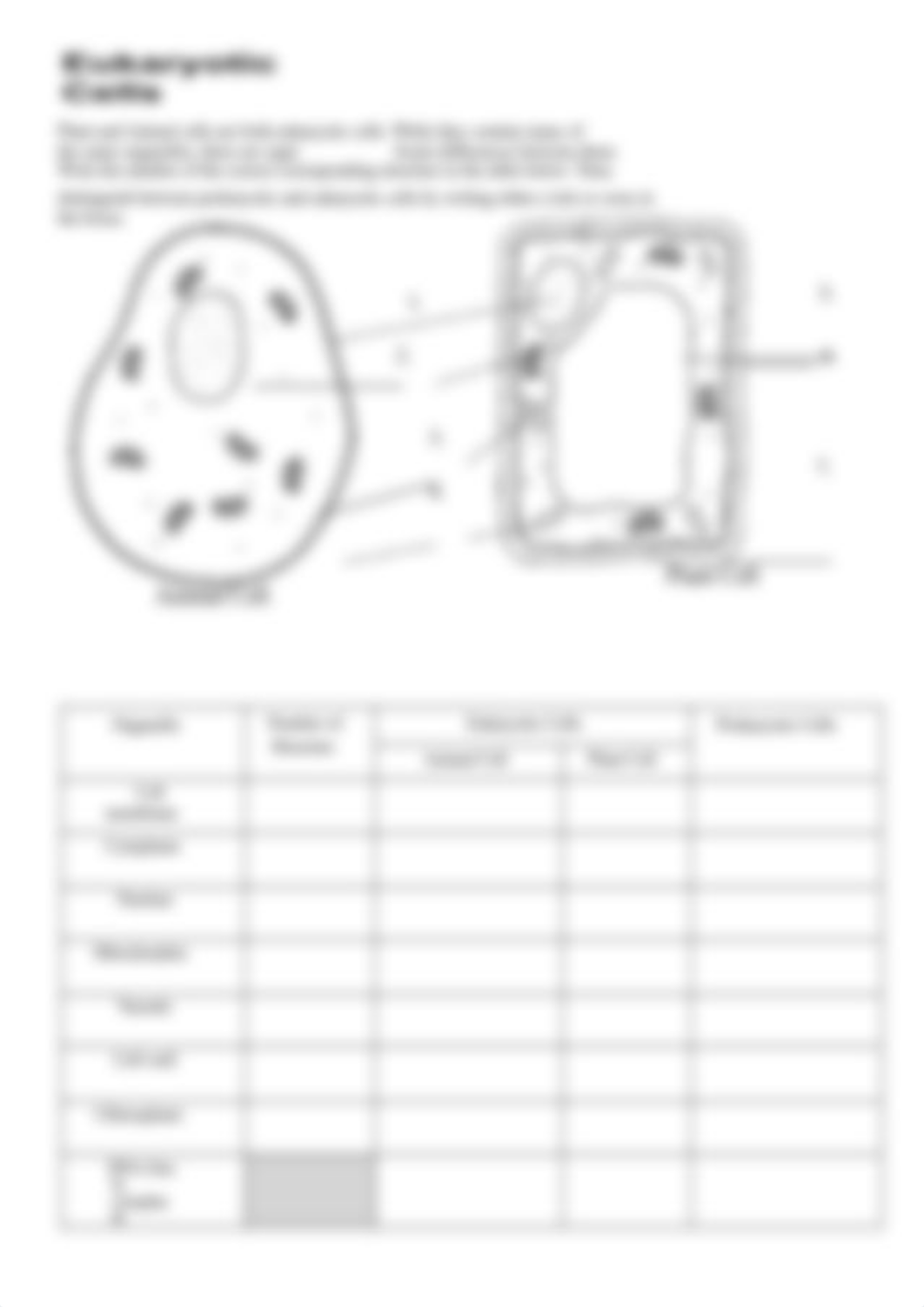 Amy Coste - Prokaryotic & Eukaryotic Cells.pdf_dcaxb0tytek_page5