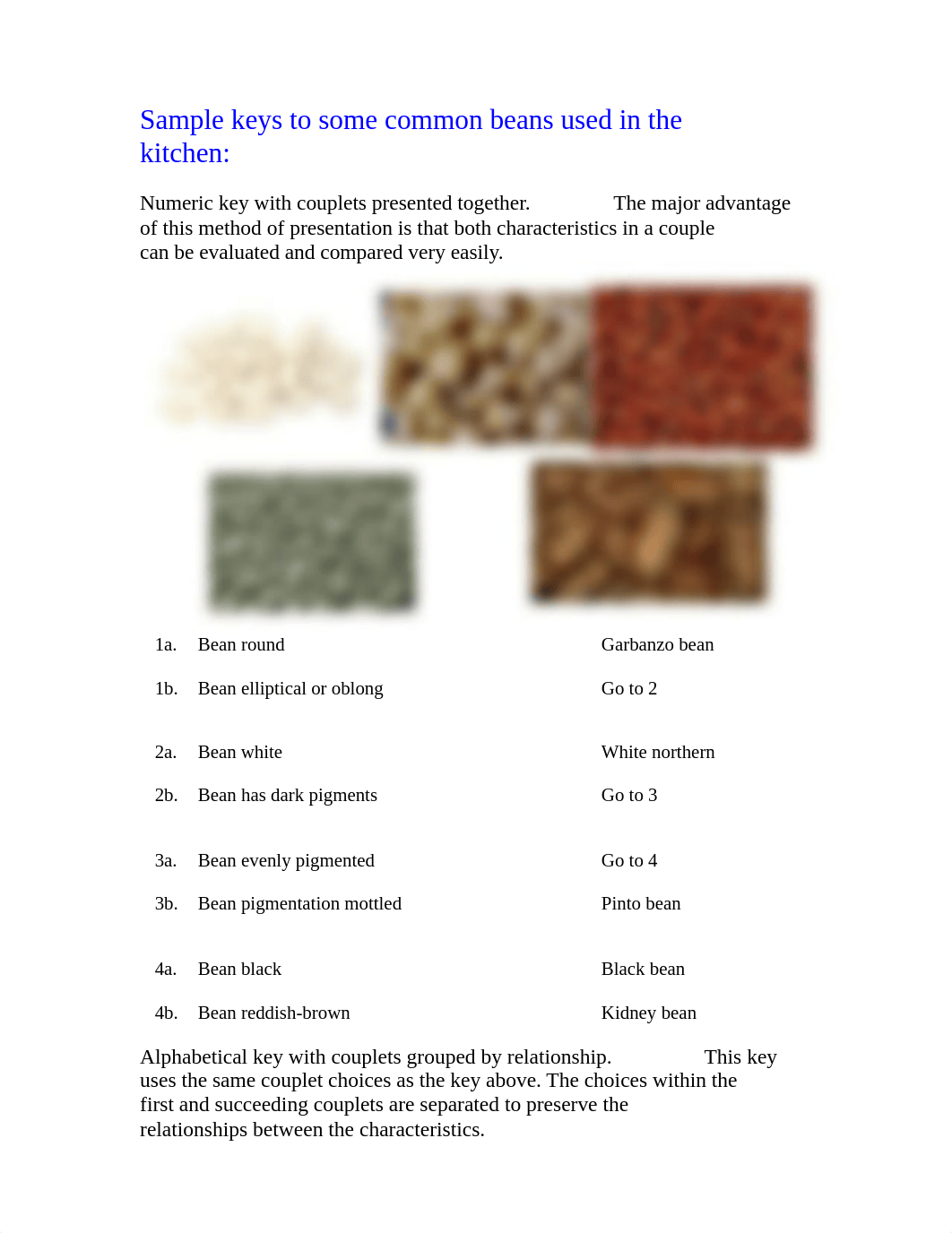 Dichotomous Keying_dcay96oc1fl_page2