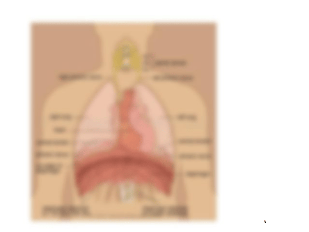 RNSG 1301 Respiratory Pharmacology - Lung agents Spring 2021 1-14-21 (1).pdf_dcaymca43ie_page5