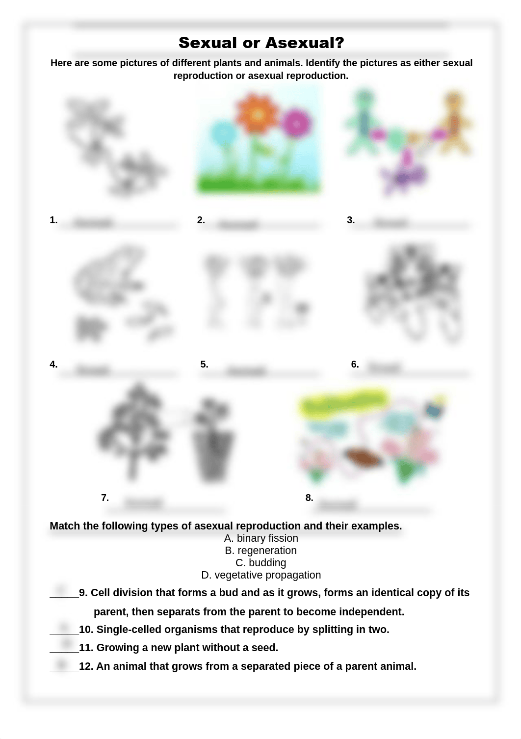 Jakayla Cunningham - Sexual or Asexual 2021.pdf_dcb3fqr2v3n_page1