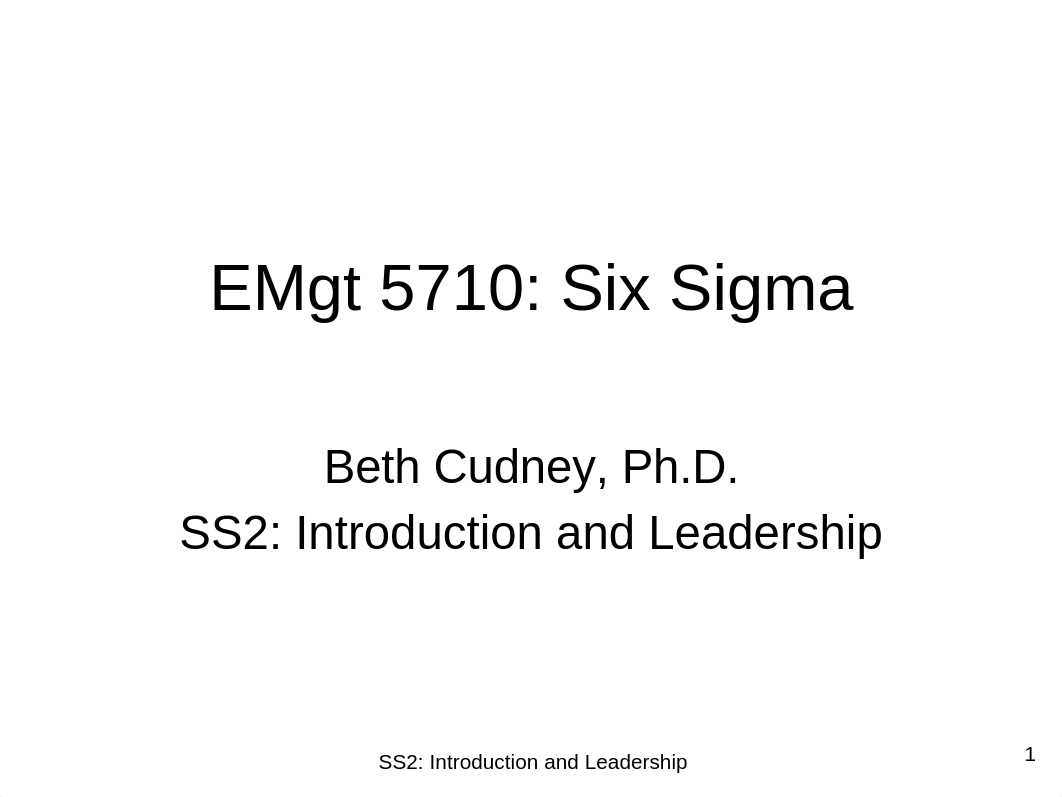 SS2 Introduction and Leadership.pptx_dcb4j1bicg2_page1