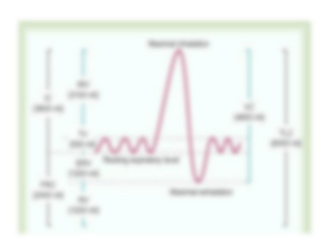 GAS EXCHANGE AND TRANSPORT I_dcbdbxunmko_page3