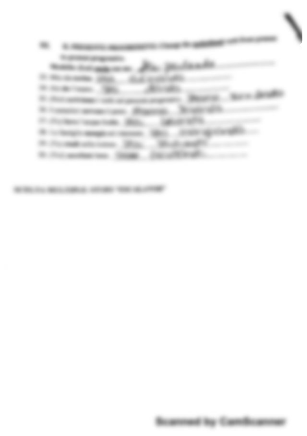 Study Guide, Final Exam Italian_dcbem7vedwl_page2