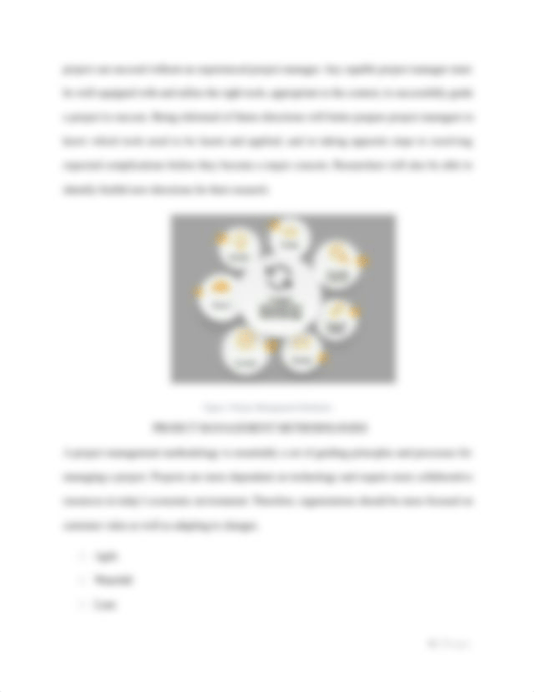 Project Management Report - Progress Report.docx_dcbh5lljzly_page5