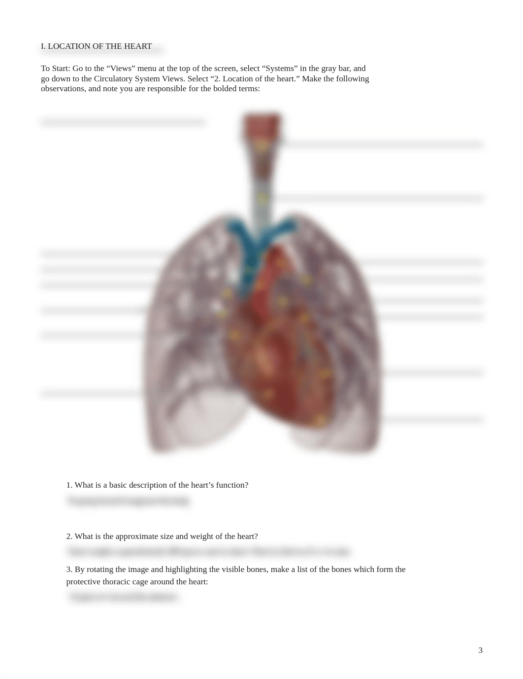 lab manual_human heart_atlas.pdf_dcbhskgqxx3_page3