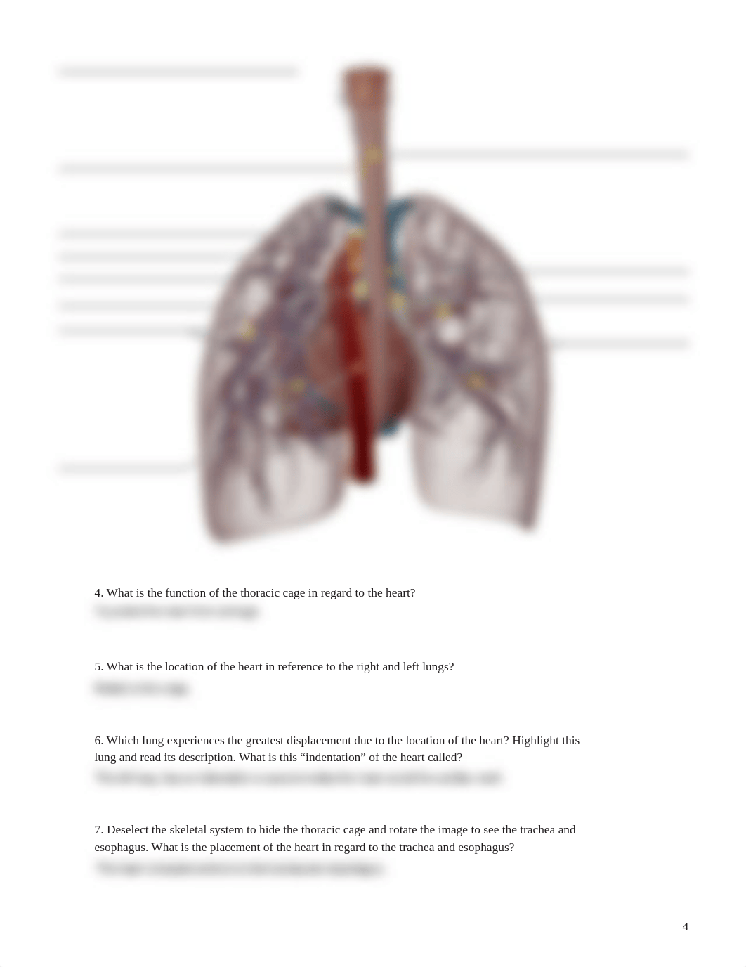 lab manual_human heart_atlas.pdf_dcbhskgqxx3_page4