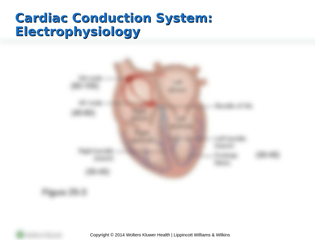 Hinkle_PPT_Ch_25.pptx_dcbmkzmijan_page4