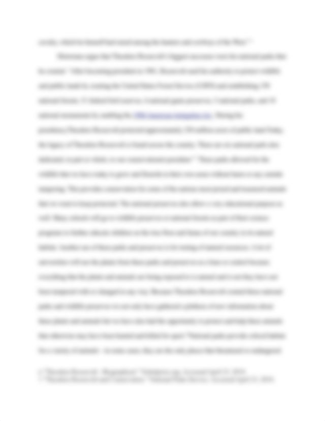 "Theodore Roosevelt Paper".docx_dcbr6ukokr2_page4