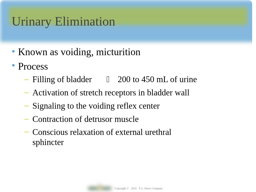 Ch28S Urninary Elimination.ppt_dcbsrvauoeh_page2