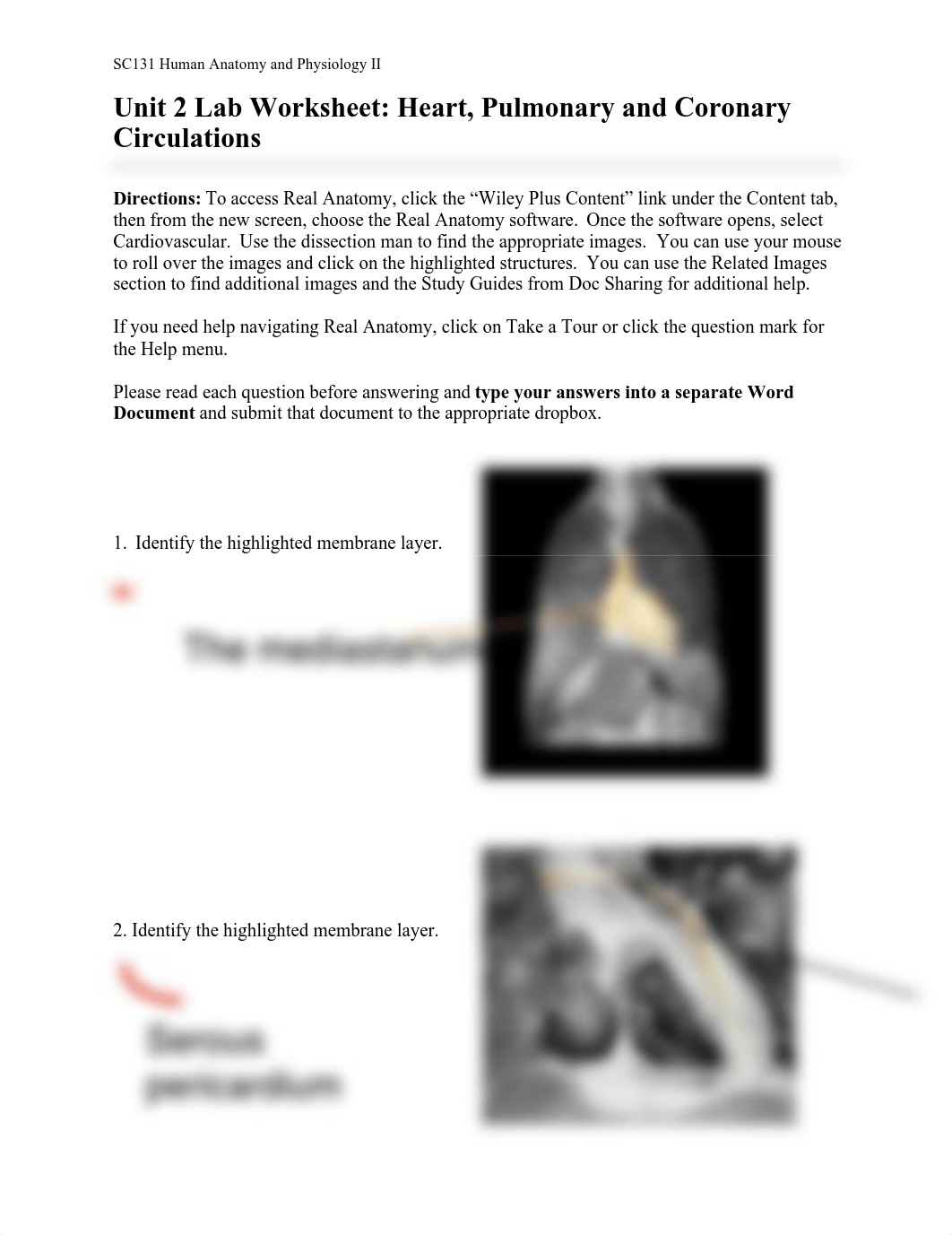 Unit 2 Assignment Real Anatomy WS.pdf_dcbupu3tzlh_page1