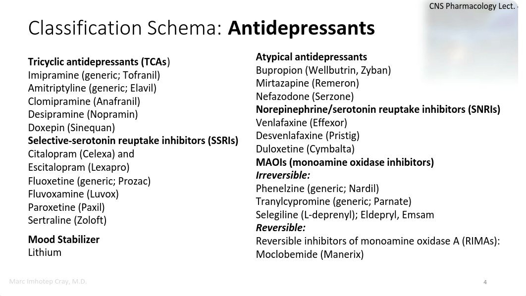 Lecture 4-Clinical Depression and Antidepressants.pdf_dcbuu3b38yj_page4