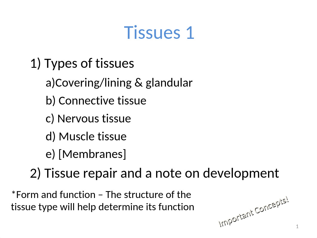 Chap 4-Tissues 1.ppt_dcbvpft7etv_page1