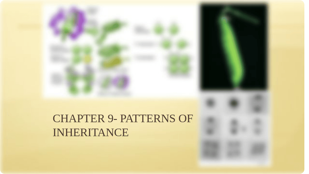 Chapter 9 Patterns of Inheritance, part 1_dcc380vlvks_page2