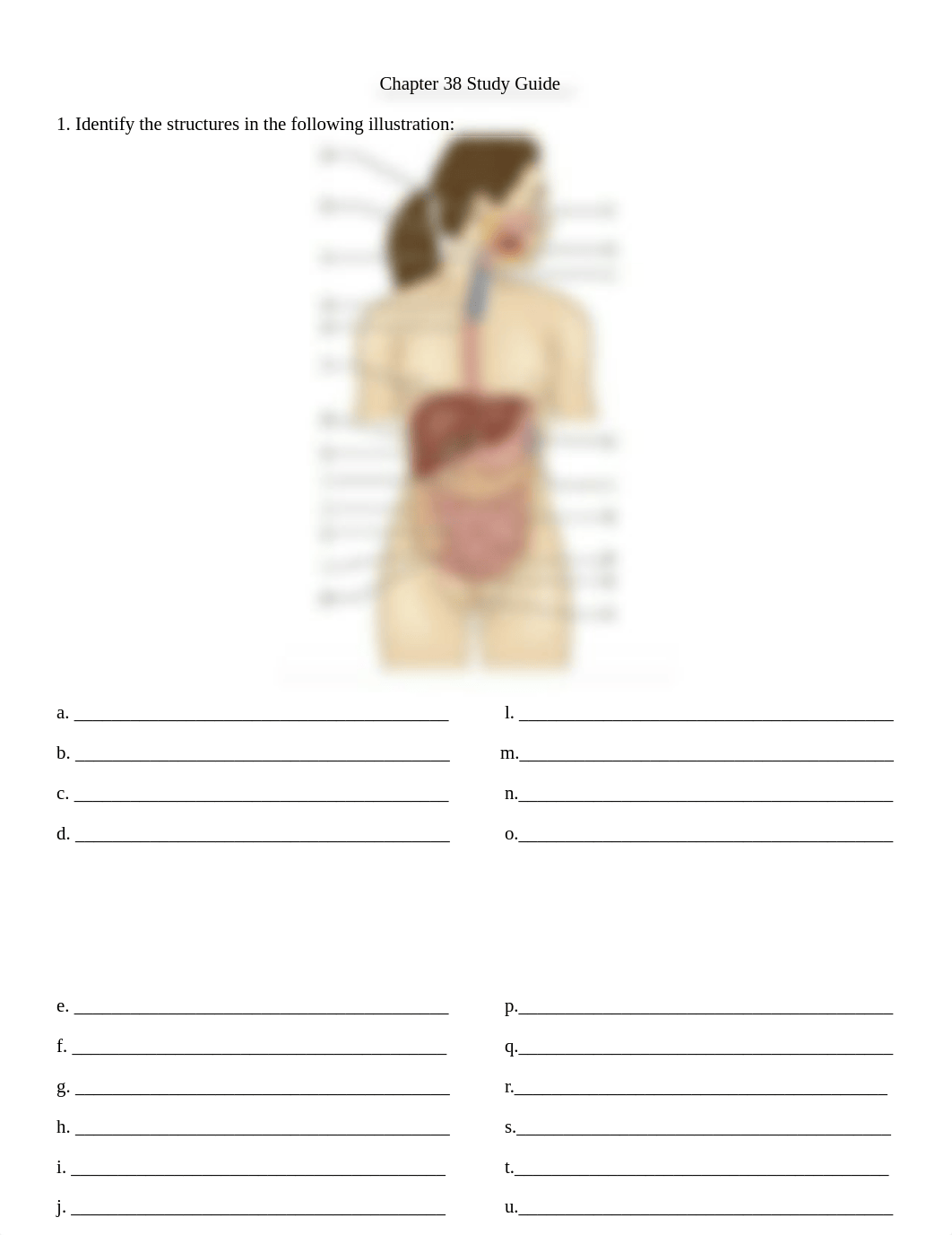 Chapter 38 Study Guide.docx_dcc7k0qy80p_page1