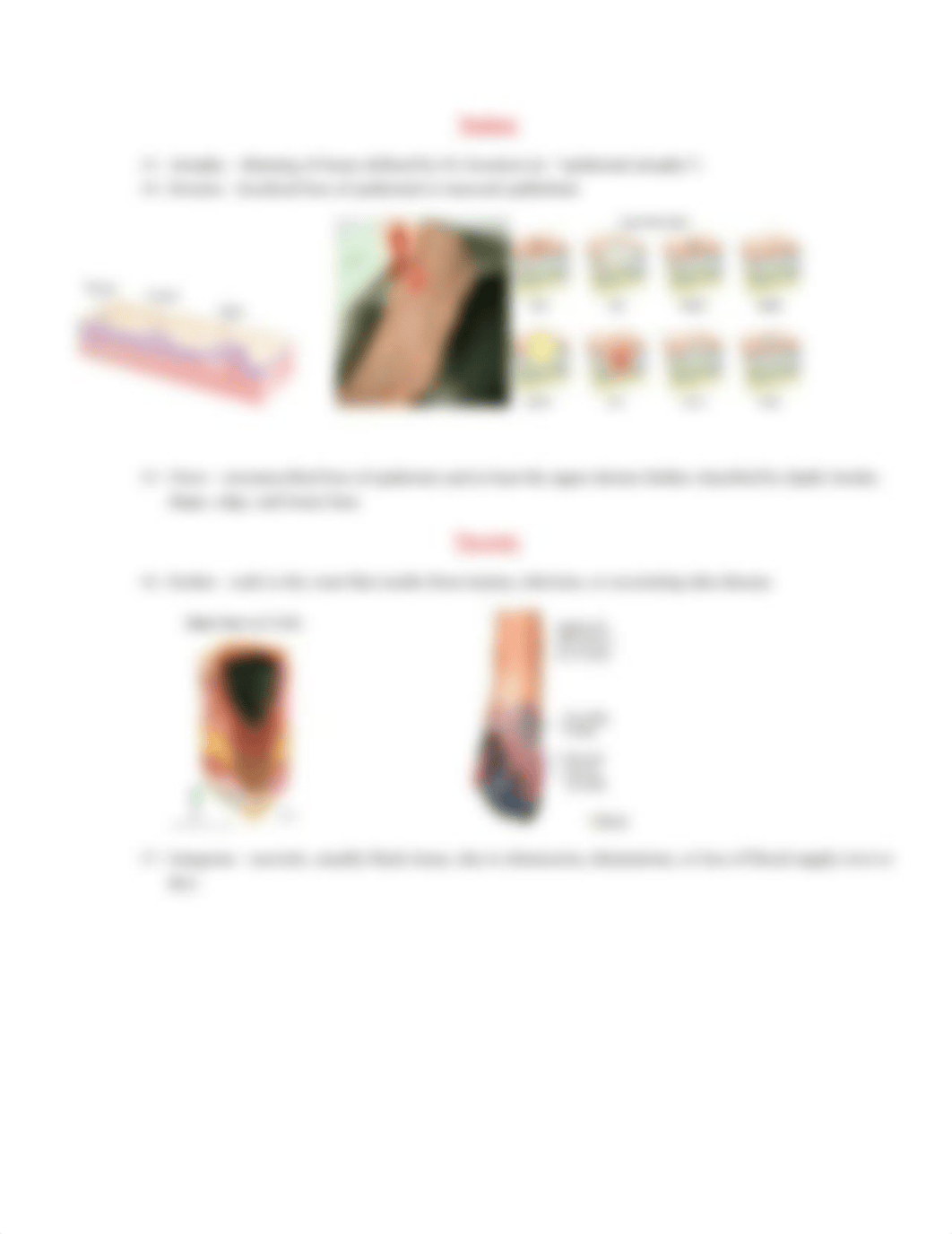 skin lesions.docx_dcc8krvgpf4_page3