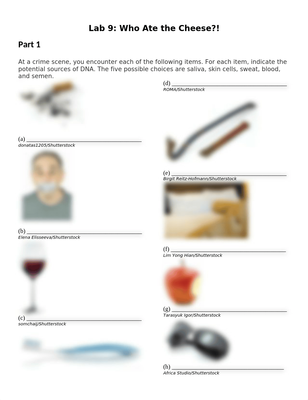 Forensics Lab 9 - Who Ate the Cheese (1).docx_dccbs990by5_page1