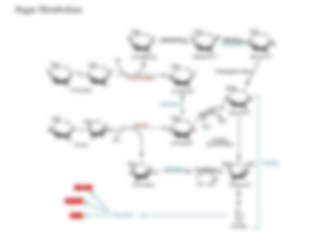 BIO 206 Ex 5-3 Phenol Red Broth Sugar ferment.ppt_dccmivoioj0_page5