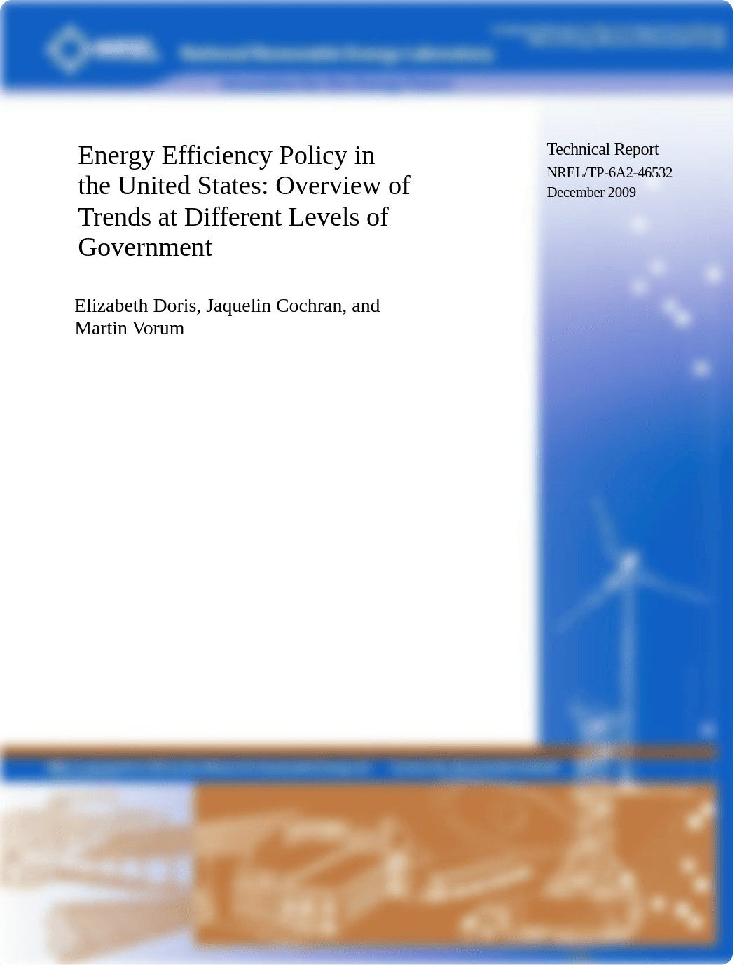 Energy Efficiency Policy in the United States.pdf_dccpldoqz9d_page1