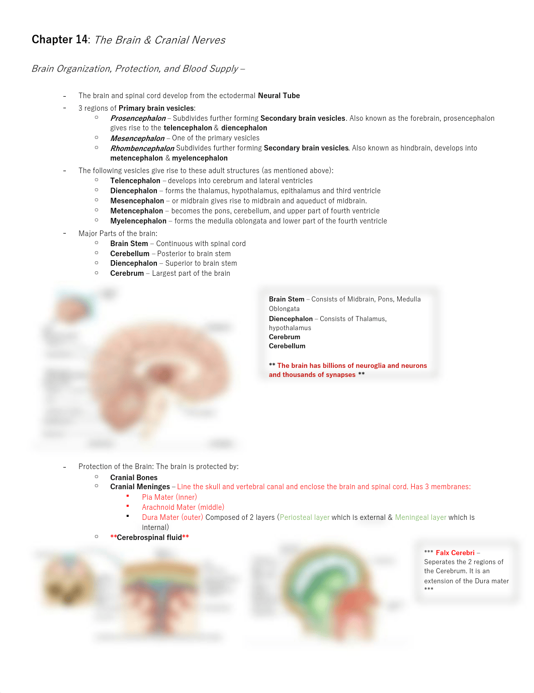 Bio 40B Chapter 14.pdf_dccqdyrxkz0_page1