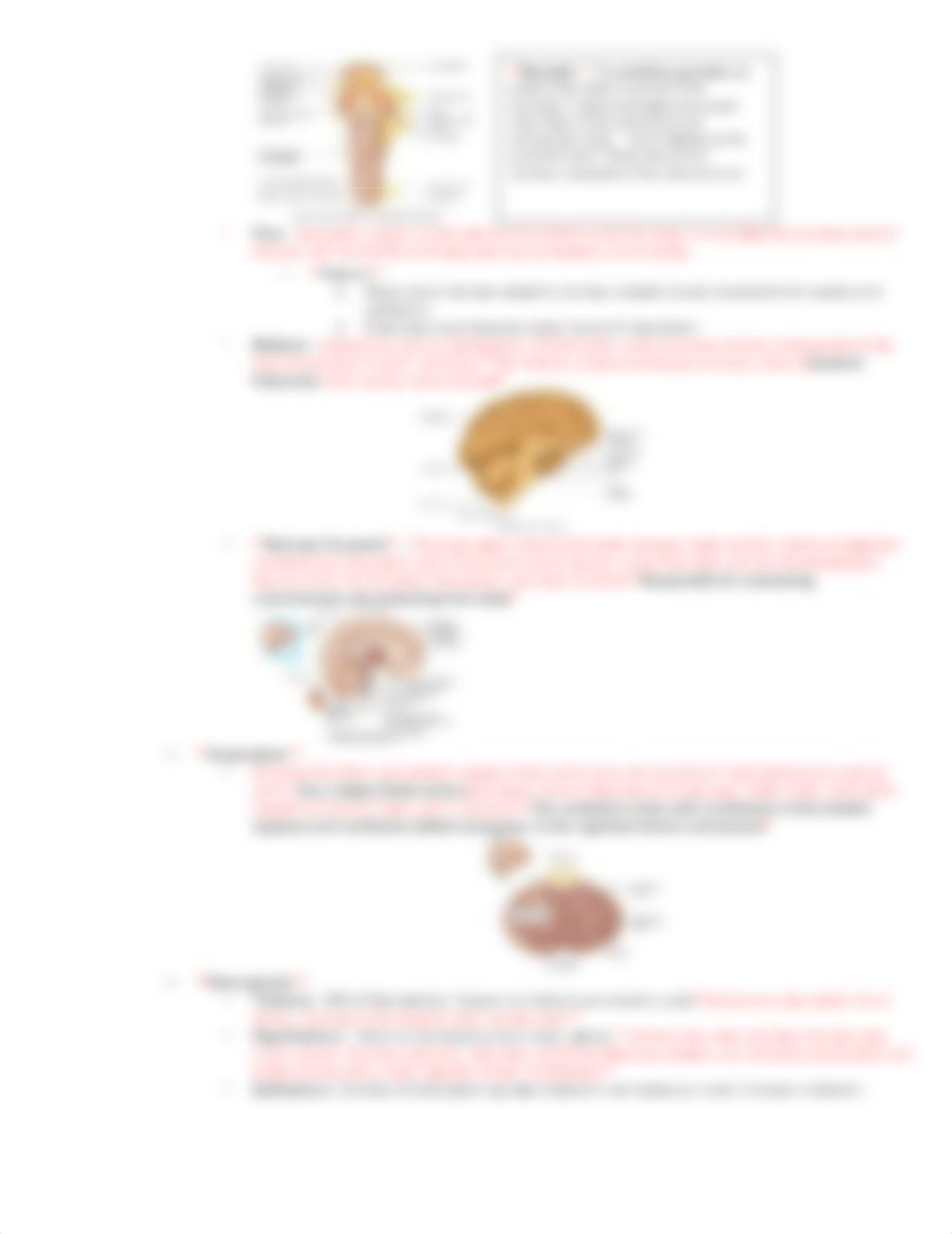 Bio 40B Chapter 14.pdf_dccqdyrxkz0_page3