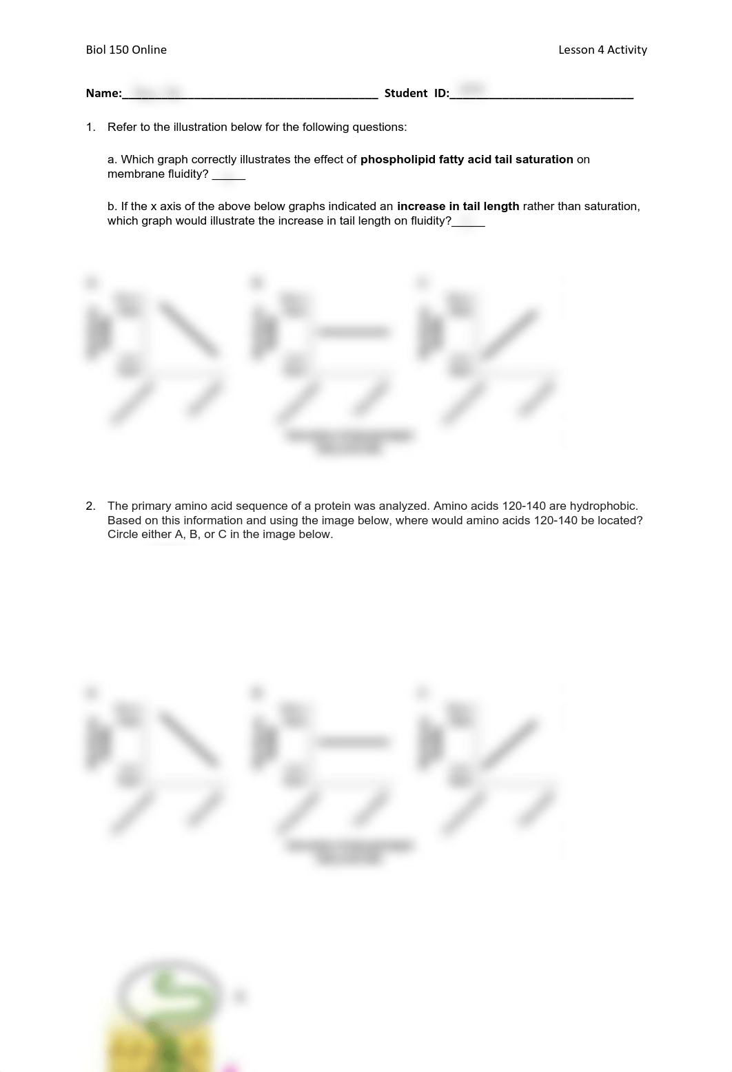 Lesson_4_Activity.pdf_dccswdypkqo_page1