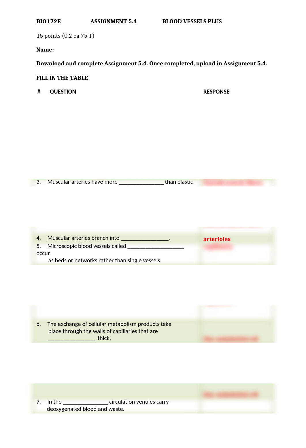 ASSN 5.4 BLOOD VESSELS PLUS KEY.docx_dccx6cbctt2_page1