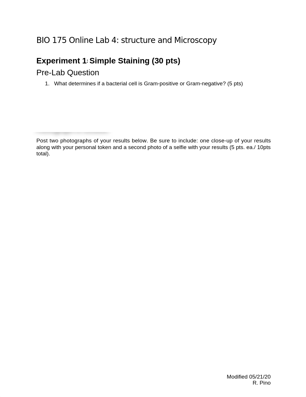 lab 4.docx_dcczqonsmtc_page1