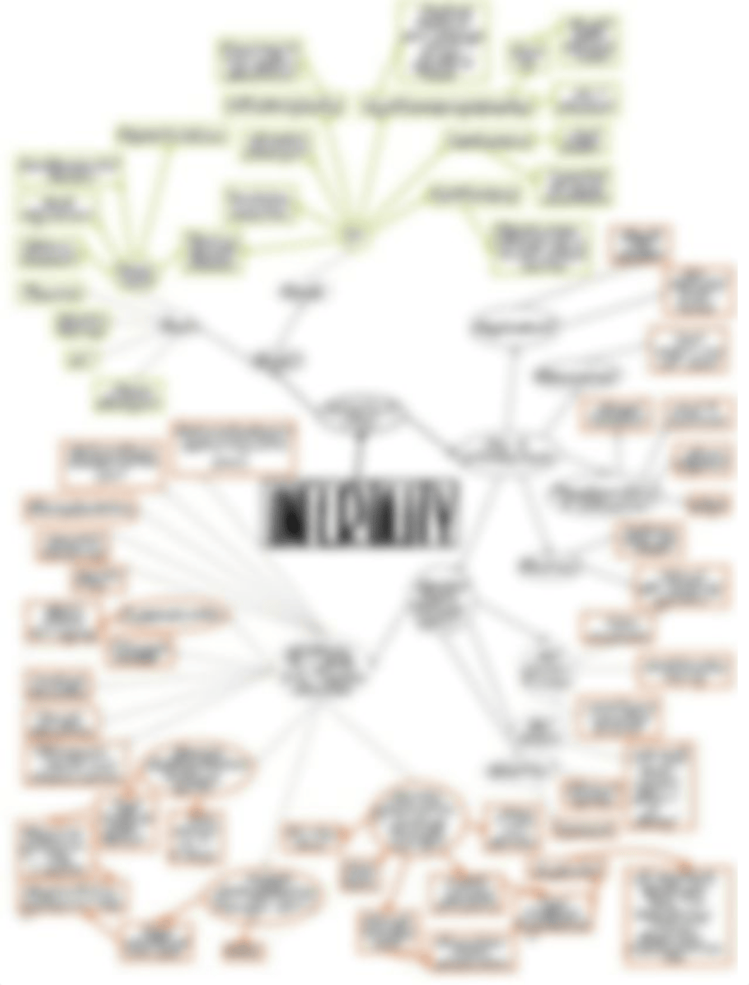 Infertility Concept Map.pdf_dcd15bhnwea_page2