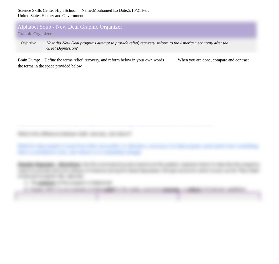 MOUHAMED_LO_-_Graphic_Organizer_New_Deal_Alphabet_Soup_3.0.docx_dcd7wl4y1cg_page1