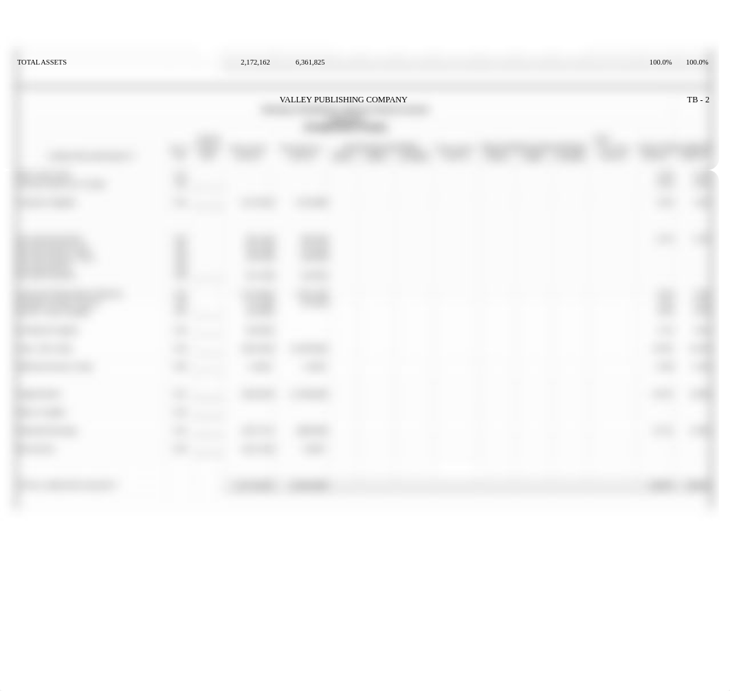 Trial Balance_13e.xlsx_dcdj709y7qh_page2