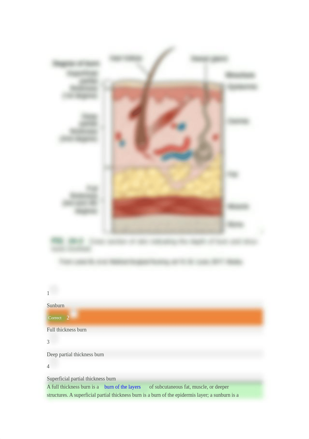 ch 24 Burn Injuries.docx_dcdjei77pat_page3