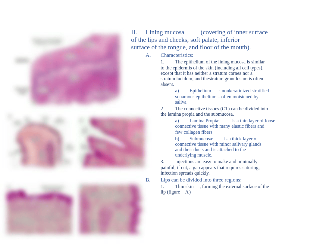 Histology Exam II - Complete Review .docx_dcdwinfg62k_page3